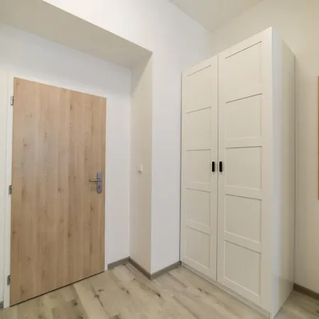 New Near Dancing House Apartment Prague