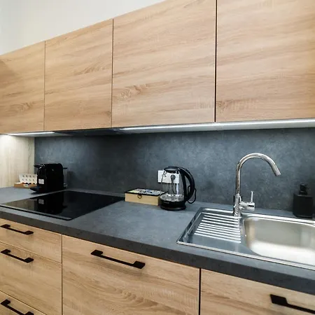 New Near Dancing House Apartment Prague
